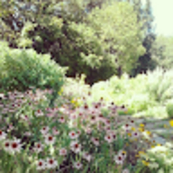 Meet your Posher, Miranda - Picture 1 of 1